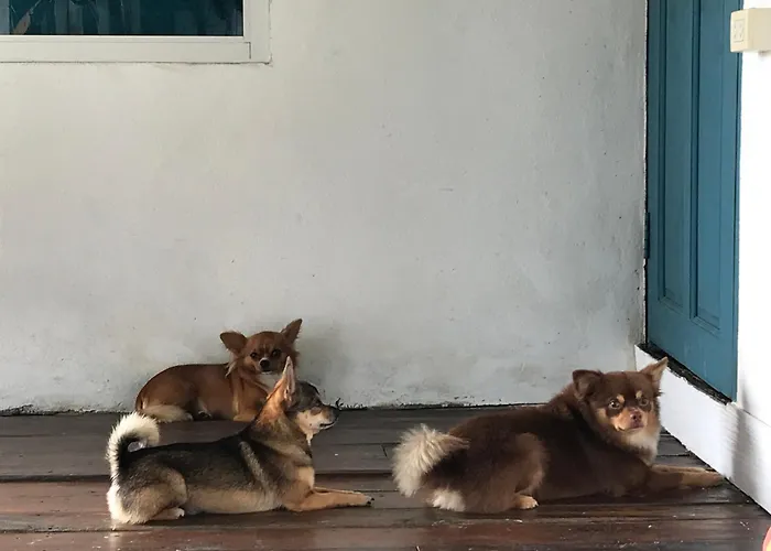 Ban Narai River Guesthouse